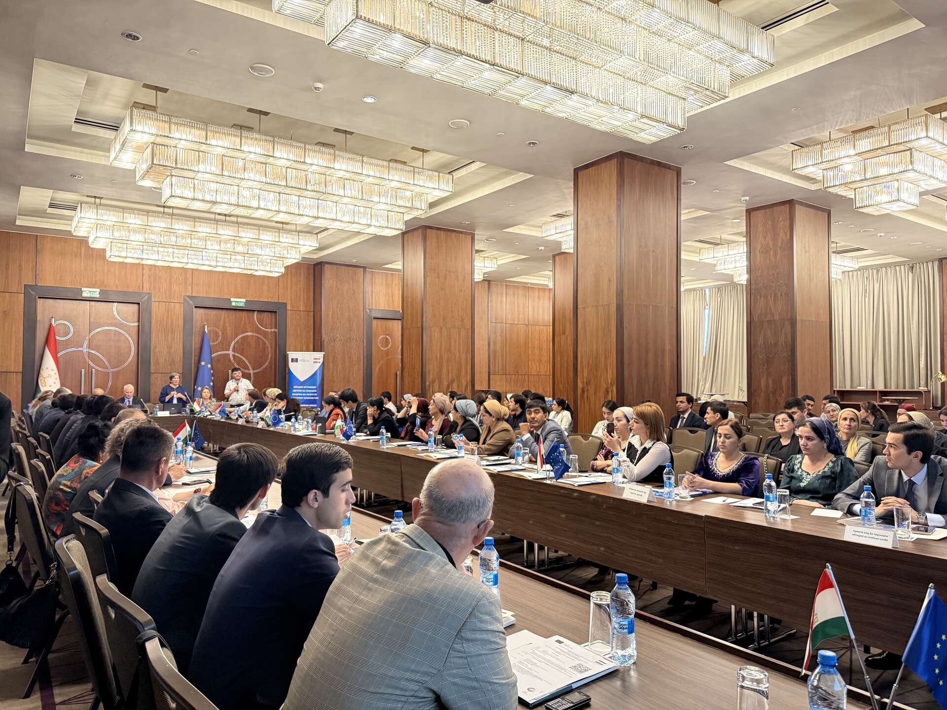 High-level steering committee meeting